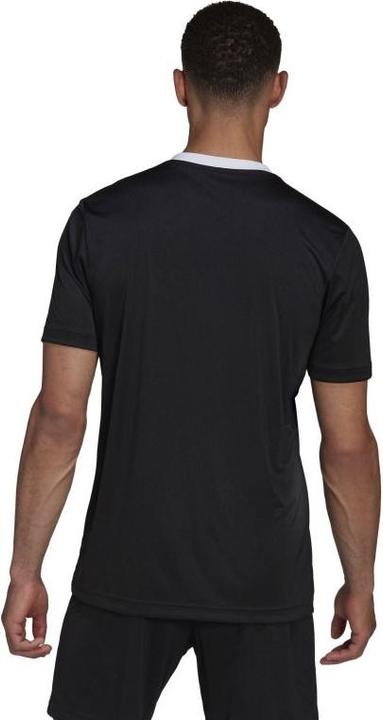 Actual product image adidas SHIRT ENTRADA 22 BLACKAD X8742545 (M)