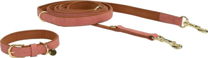 Produktbild Kentucky Dogwear Hunde Halsband Soft Vegan Leather (XS, Hund, Allgemein)