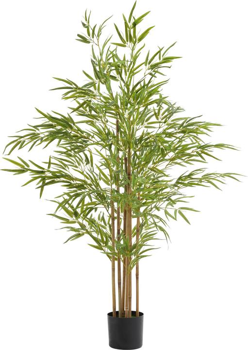 Image du produit tectake Bambou Bambosa (150 cm)