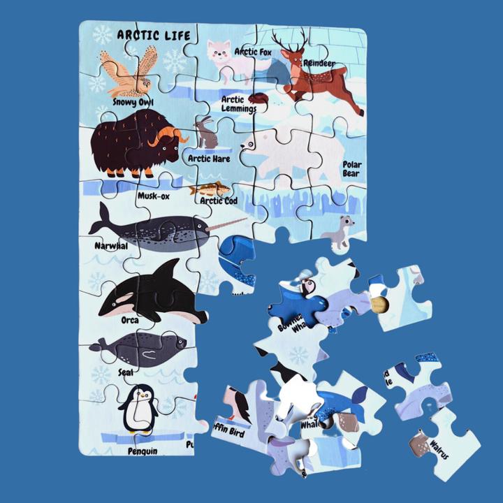 Produktbild DoerKids Mini Puzzle Arktis 40 Stk. (40 Teile)