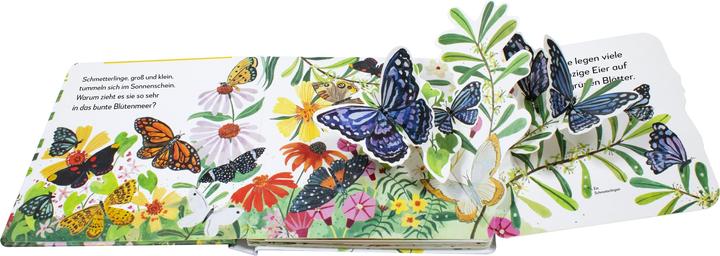 Produktbild Mein Pop-up Buch Schmetterling (Deutsch)