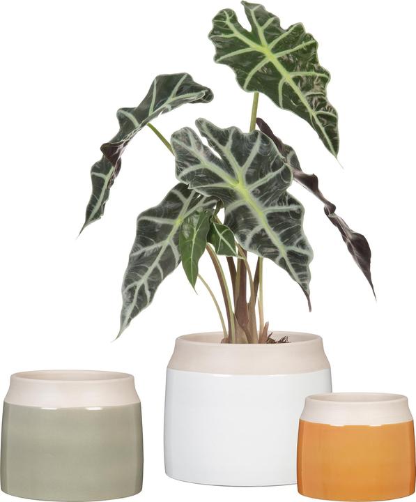 Produktbild Scheurich Blumentopf Blanco 717, 21.9 cm, Weiss, Detailfarbe (21.90 cm)