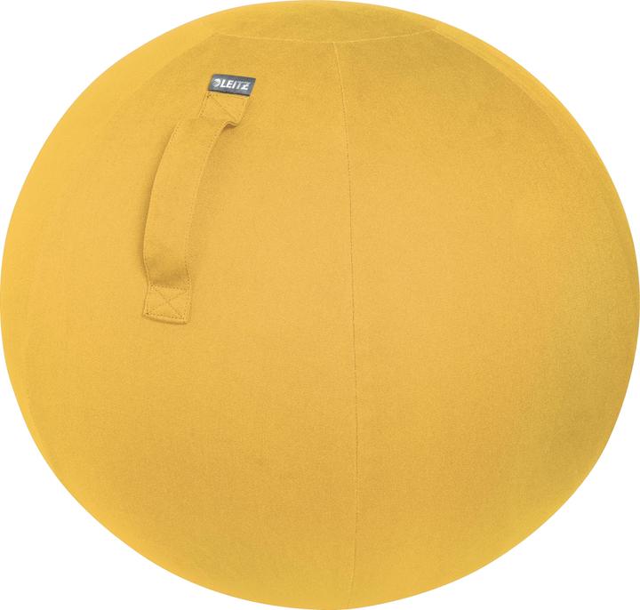 Leitz Ballon-siège Ergo Cosy Active (65 cm)