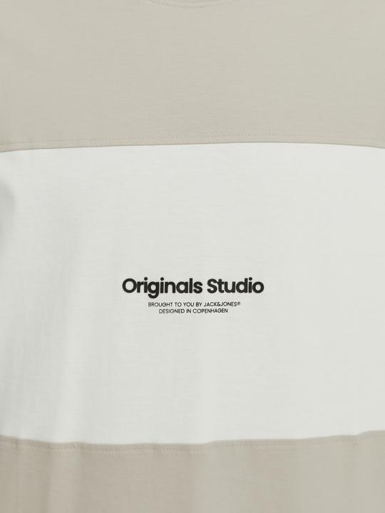 Actual product image Jack & Jones Jorvesterbro Block Tee Ss Crew Styd Aw24 (S)