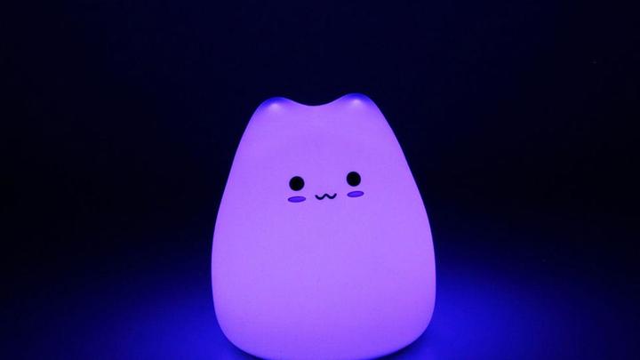 Actual product image TOP LED luminaire