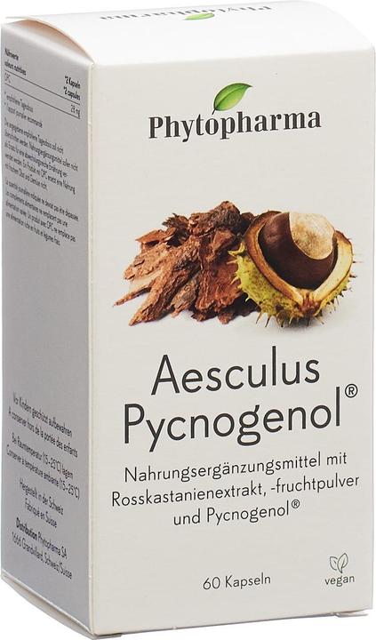 Produktbild Phytopharma Aesculus Pycnogenol (60 Stück, Kapseln, 61 g)