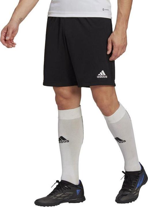 Actual product image adidas Entrada 22 training shorts men (XXL)