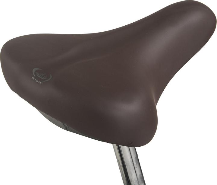 Produktbild Hollandia Hollandrad 28" Royal Dutch Singlespeed RH 49 cm (49 cm)