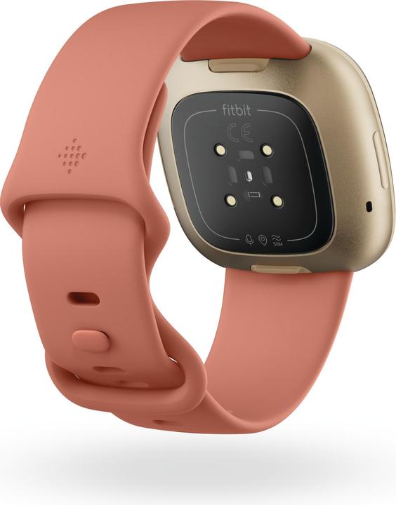 Immagine prodotto Fitbit Versa 3 (40.48 mm)