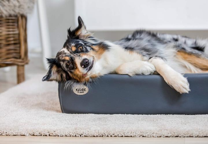 Produktbild Sabro Kudde (Hund)