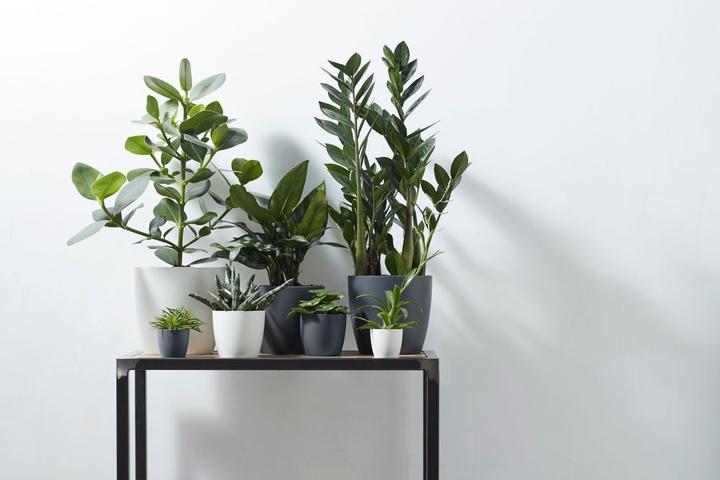 Produktbild Elho Brussels (13 cm)