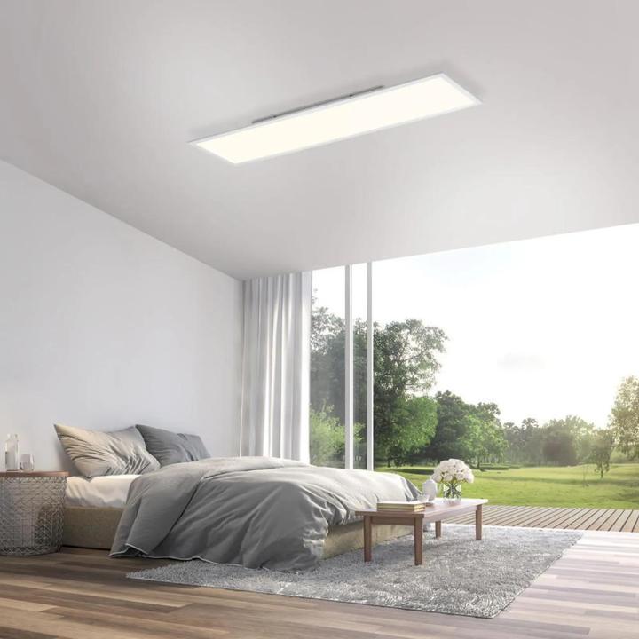 Immagine prodotto Paul Neuhaus Q bandiera (5200 lm)