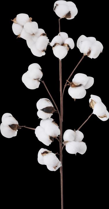 Actual product image Boltze Home Cotton (68 cm)