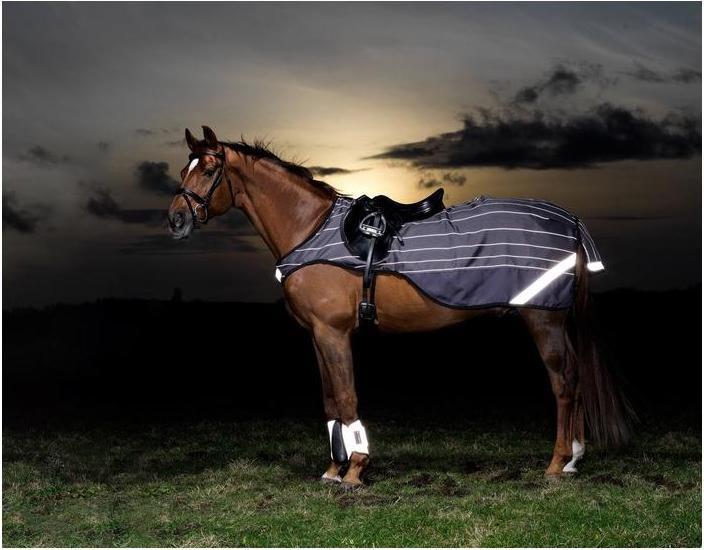 Produktbild Horseware Ausreitdecke Amigo Reflectech Competition Sheet