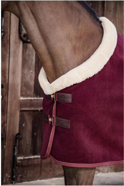 Actual product image Kentucky Horsewear Fleece Show Sweat Rug (155 cm)