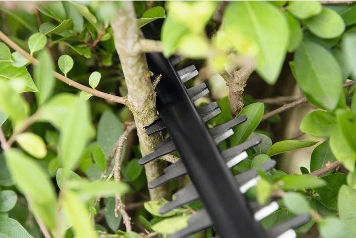 Produktbild Bosch Home & Garden Ahs 55-20 (Akkuheckenschere)