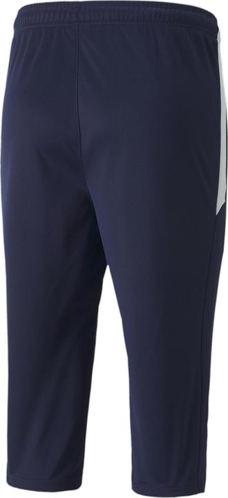 Image du produit Puma teamLIGA Training 3/4 Pants-657271 (3XL)