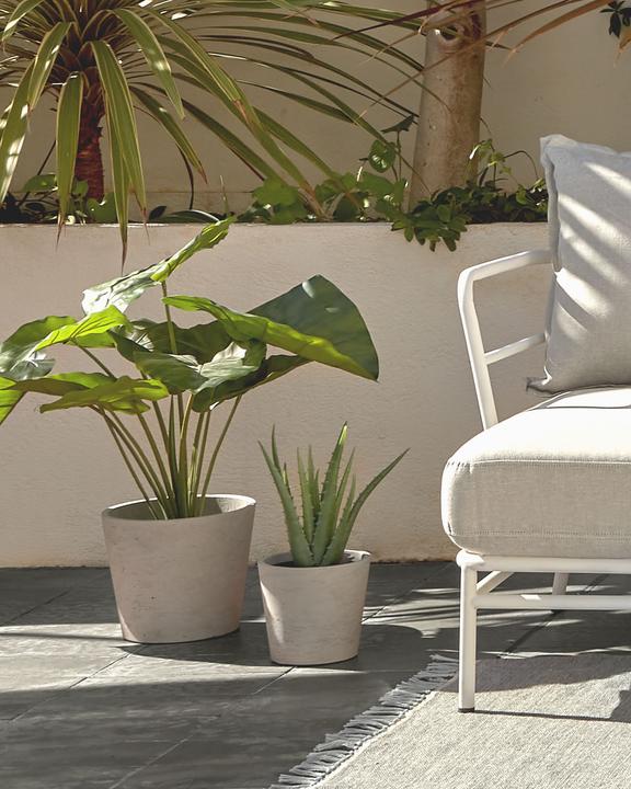 Produktbild Kave Home Alocasia Odora (57 cm)