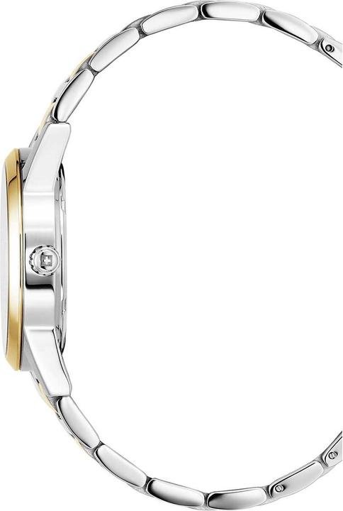 Image du produit Swiss Alpine Military 7767.1147 Argos (Swiss Made, 34 mm)