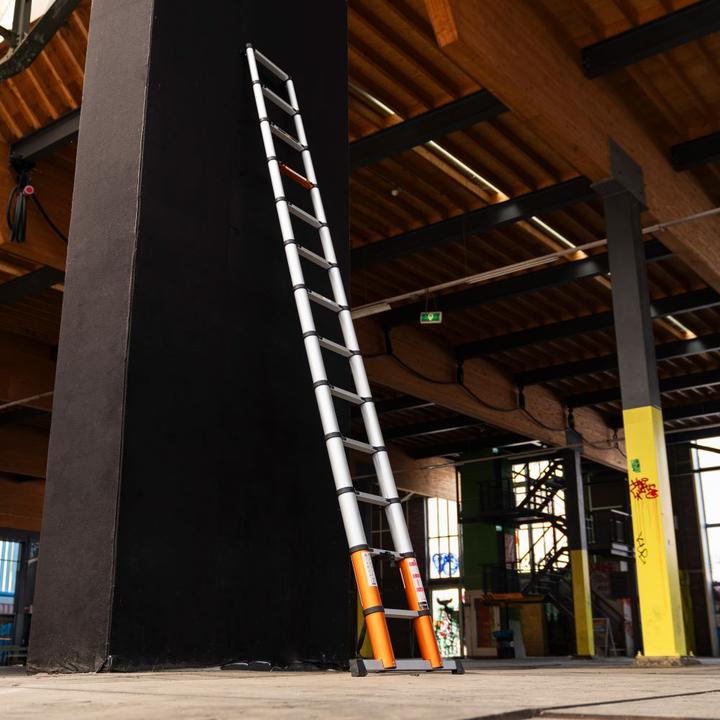 Immagine prodotto Batavia Aria di giraffa (Scala doppia, 380 cm)