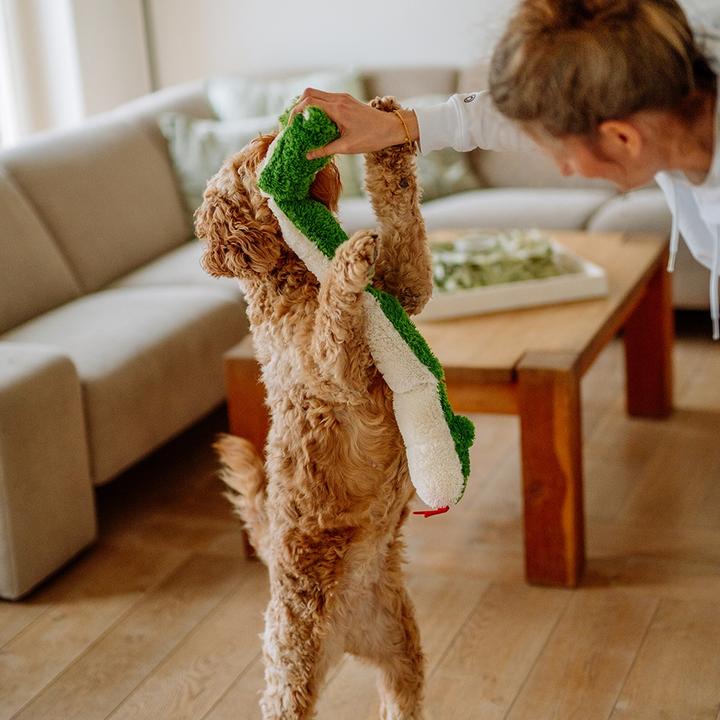 Actual product image Nobby Plush snake (Plush toy dog)