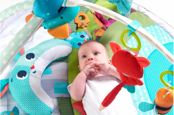 Productafbeelding Tiny Love Dynamische Gymini Weidedagen
