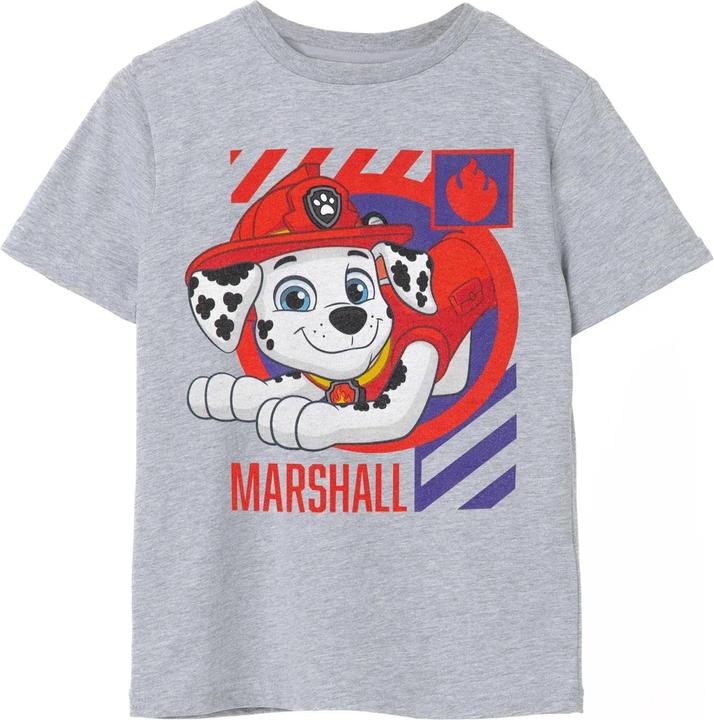 Paw Patrol TShirt Jungen (104)