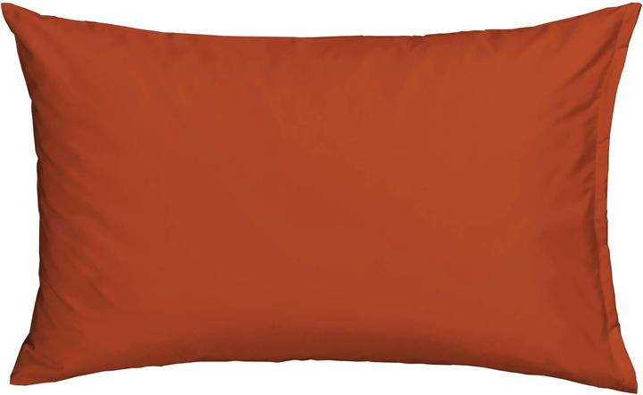 Kastanie