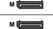 Actual product image 50 cm DisplayPort cable male (0.50 m, DisplayPort)