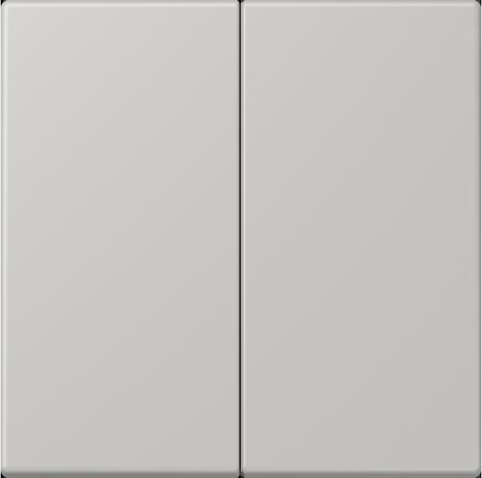 Actual product image JUNG Control button