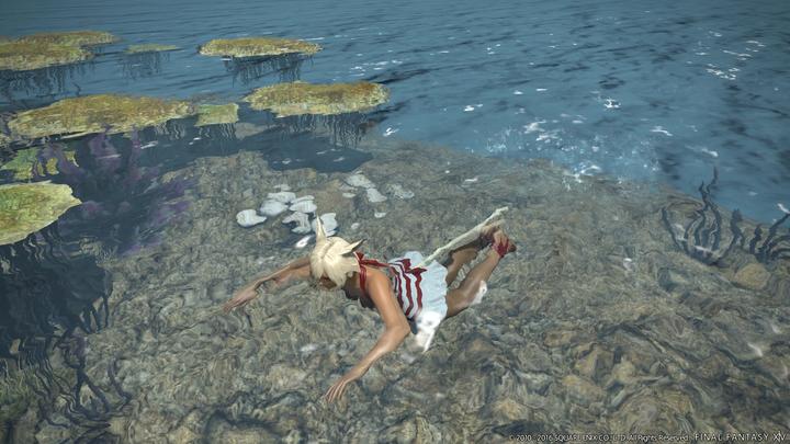 Image du produit Square Enix Final Fantasy XIV (14) : Le sang de l'orage (PS4, DE)