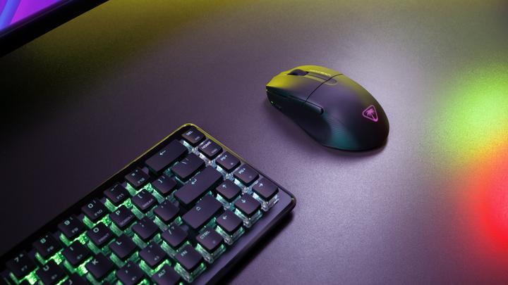 Immagine prodotto Turtle Beach Aria pura (Senza fili)