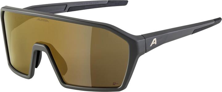 Actual product image ALPINA SPORTS Ram Q-Lite (Grey, Gold Mirror)