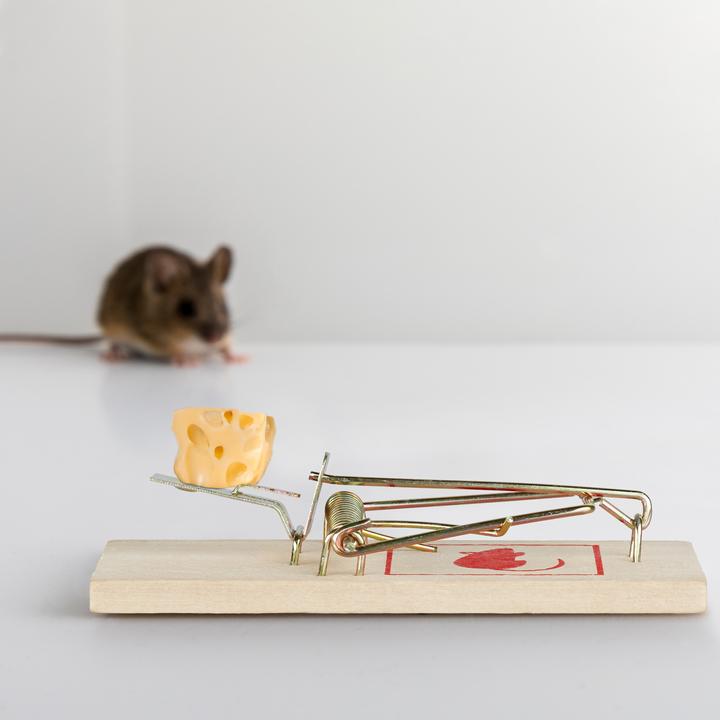 Actual product image Relaxdays 40x mousetrap