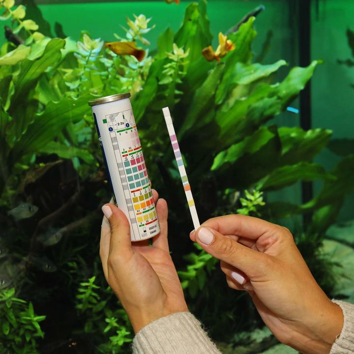 Immagine prodotto JBL Aquaristik und Terraristik EasyTest 7 in 1 (Cura dell'acqua dell'acquario)
