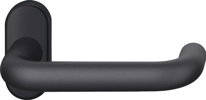 Actual product image FSB Framed lever handle with retaining spring on oval rosette in matt black aluminium (Door set)