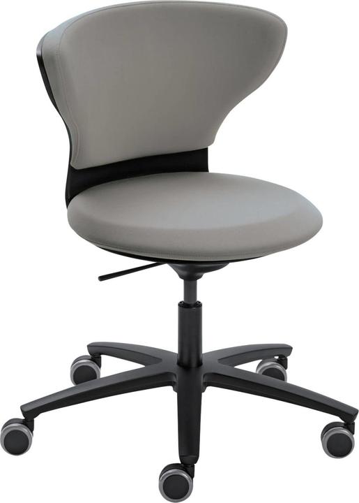 Sedus turn around Padded seat Padded backrest