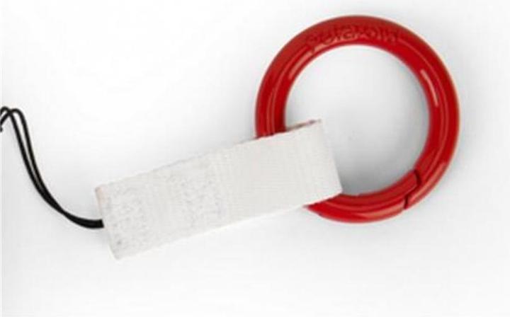 Image du produit Polaroid Accessoires pour appareils photo analogiques Clip pour appareil photo - GO (Polaroid Go)
