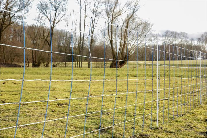 Produktbild AKO Weidenetz TitanNet