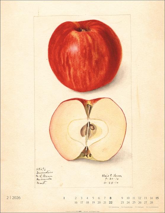 Actual product image Alte Sorten Kalender 2026 (34 x 44 cm, Hardcover, German)