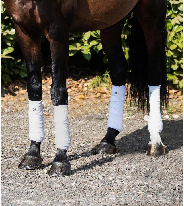 Produktbild Premier Equine 4er pack polobänder für pferde