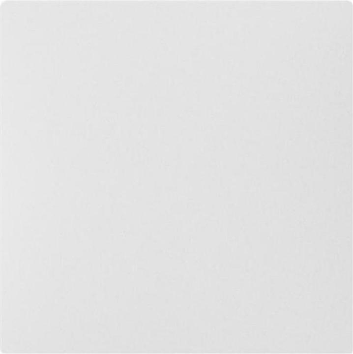 ABB EB-Blinddeckel steckbar