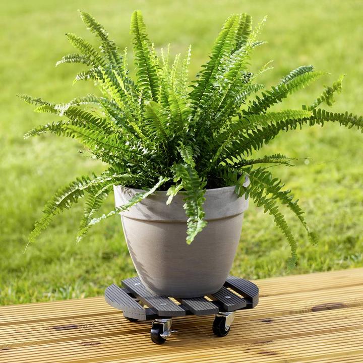 Produktbild Metafranc Transportroller WPC Traglast (max.): 60 kg (60 kg)