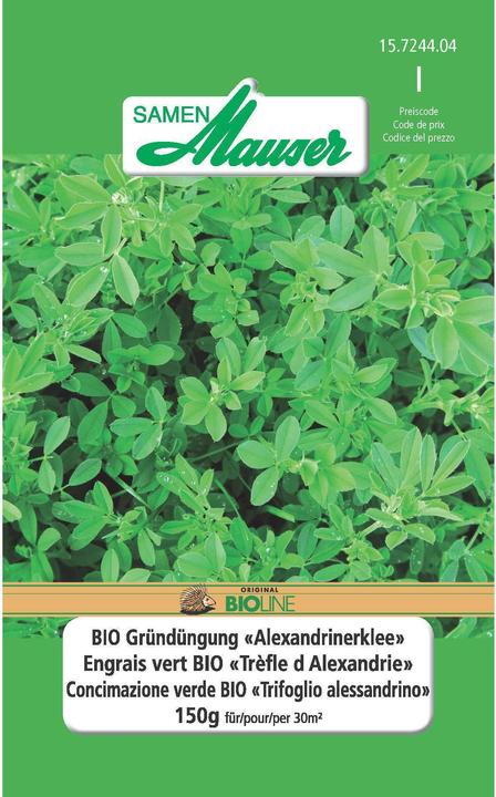 Produktbild Samen Mauser BIO Alexandrinerklee (Kräutersamen)
