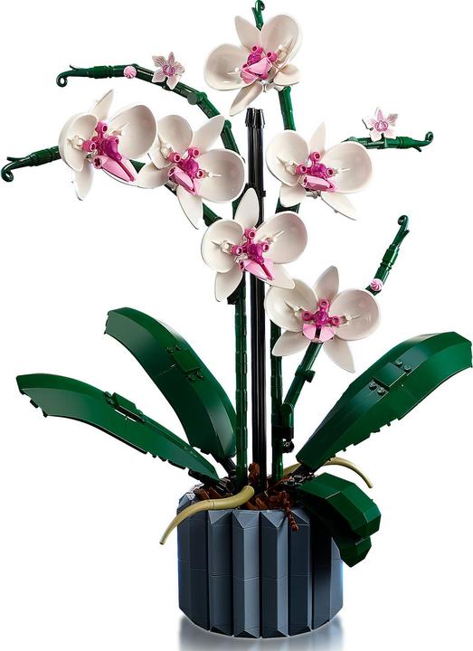 Productafbeelding LEGO Orchidee (10311, LEGO Botanisch)