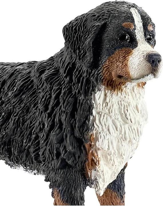 Image du produit Schleich Chien de montagne bernois