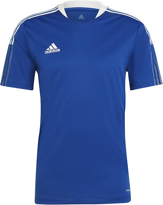 adidas Tiro 21 Trainingstrikot (XXL)