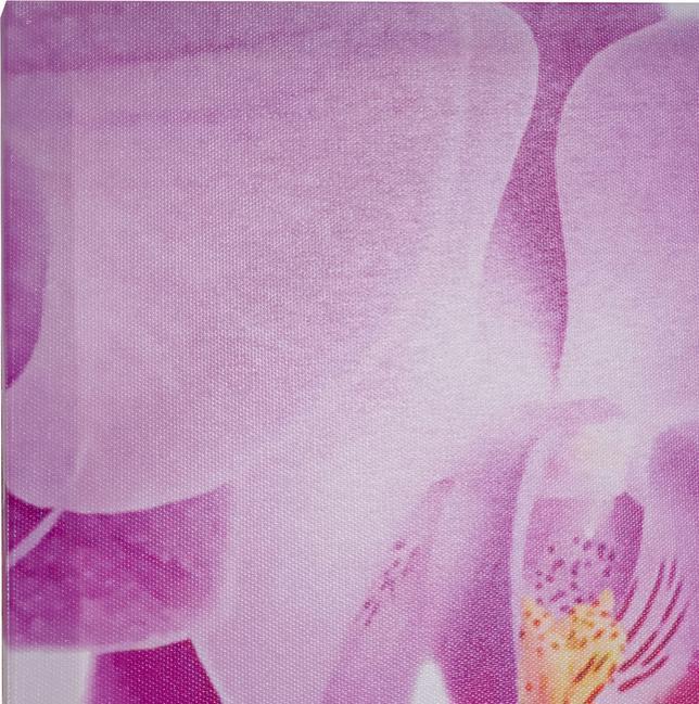 Produktbild Swisshandel24 Leinwandbild, Wandbild Keilrahmenbild Kunstdruck, 7-teilig 140x50cm - Pfau (140 x 50 cm)