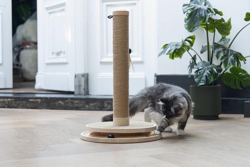Actual product image Designed by Lotte Zavi (62 cm, Brown)