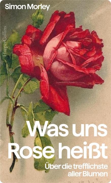 Image du produit Morley:»Was uns Rose heisst« - Über die (Allemand, Simon Morley, 2024)